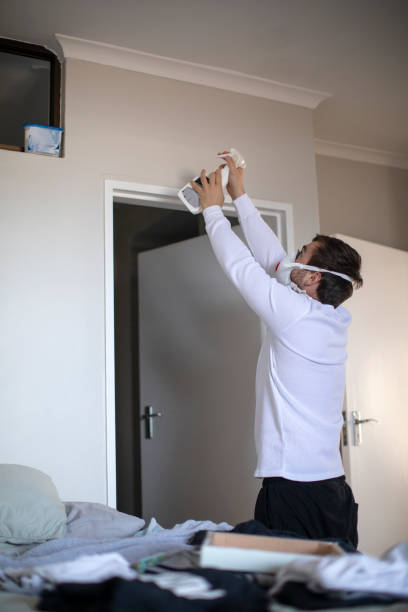 Best Environmental Consulting for Mold Prevention  in Roseville, OH