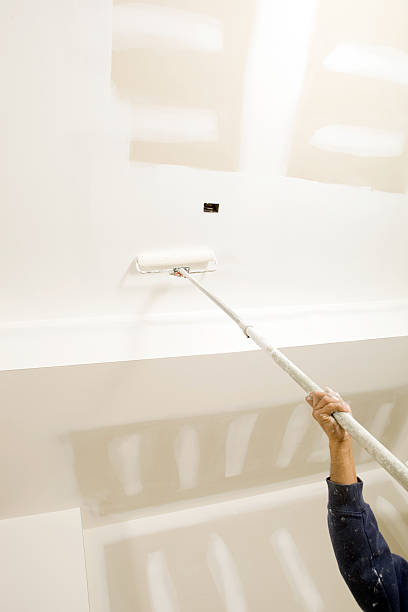Best Asbestos and Lead Testing During Mold Inspection  in Roseville, OH